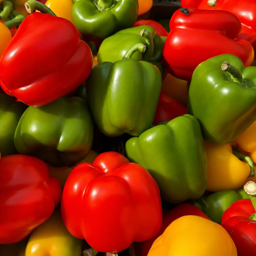 pimientos
